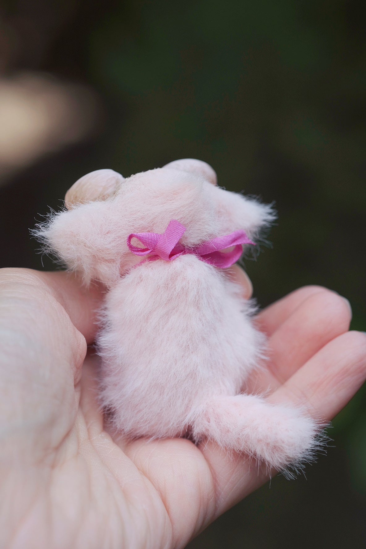 Star Kitty
