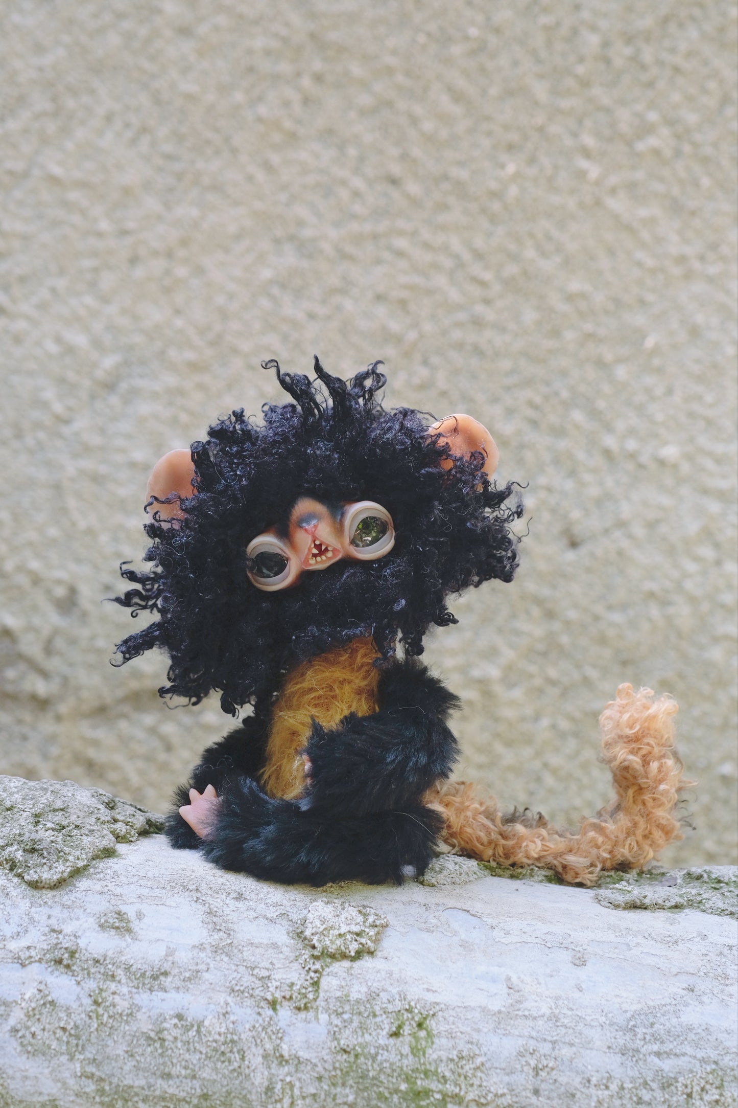 Black Lemur Monkey