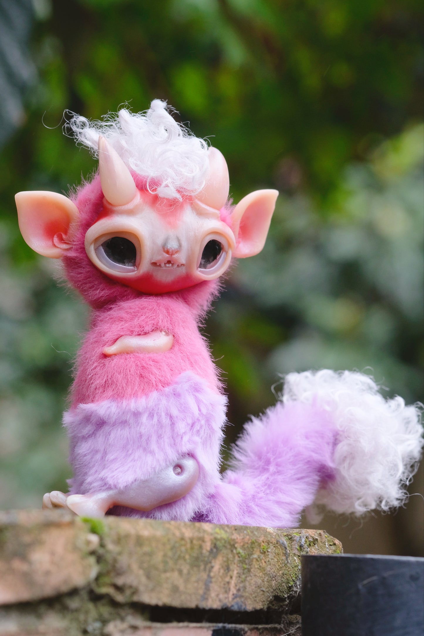 Little Imp