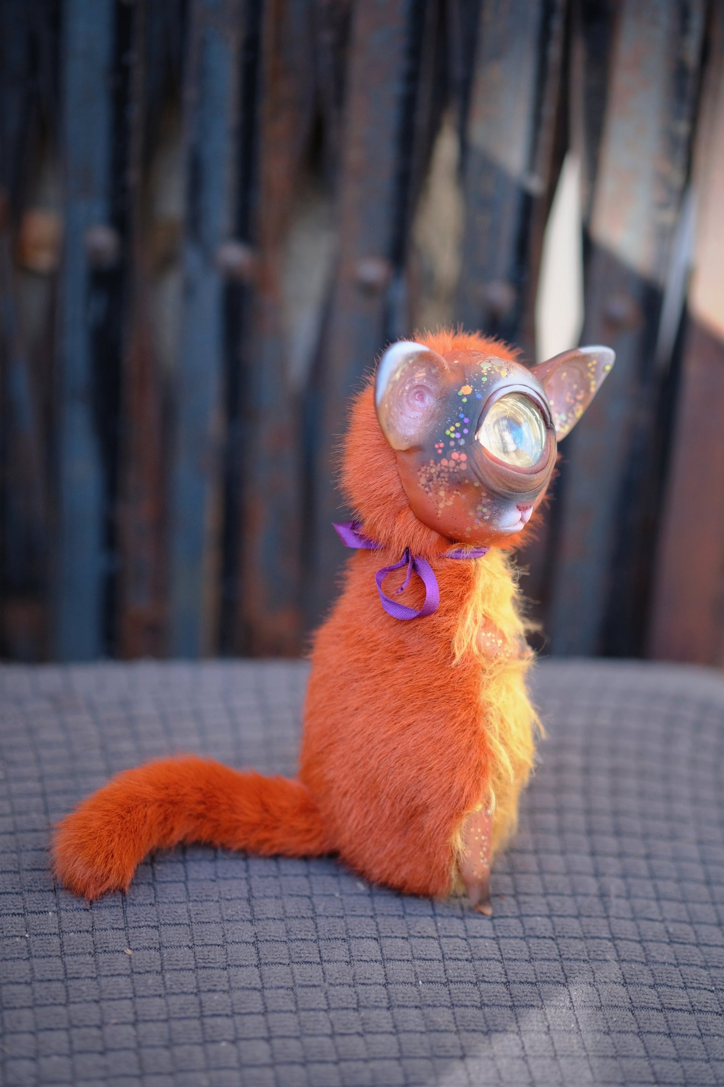 Cyclops Cat