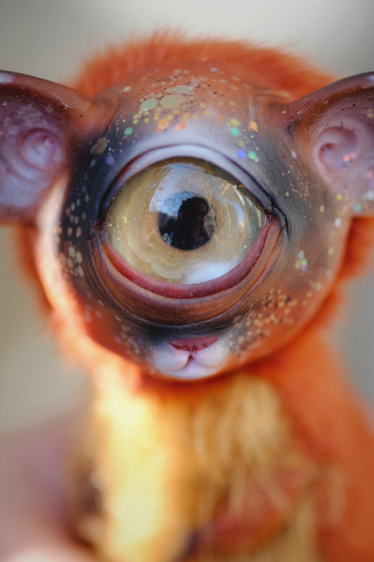 Cyclops Cat