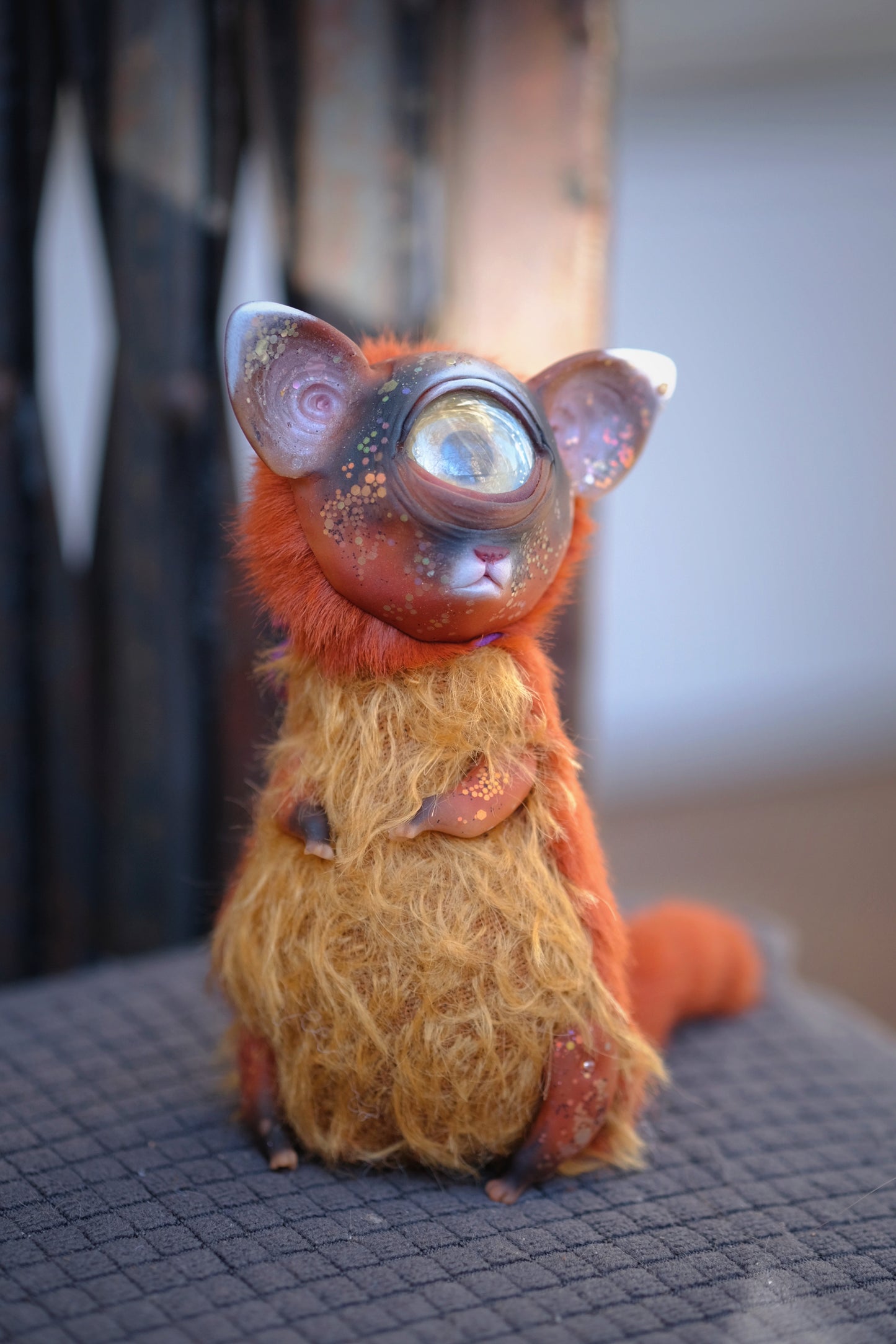 Cyclops Cat
