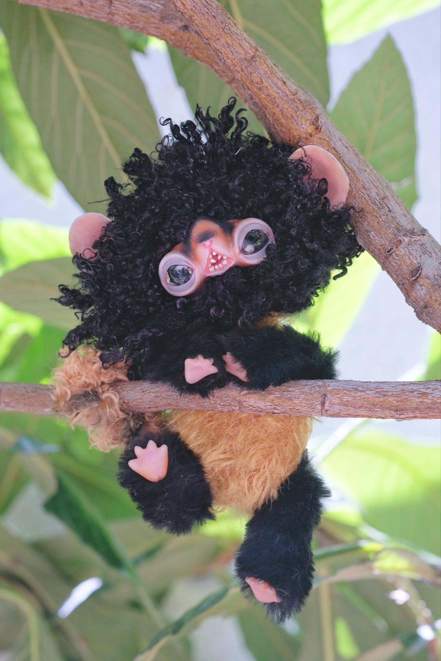 Black Lemur Monkey