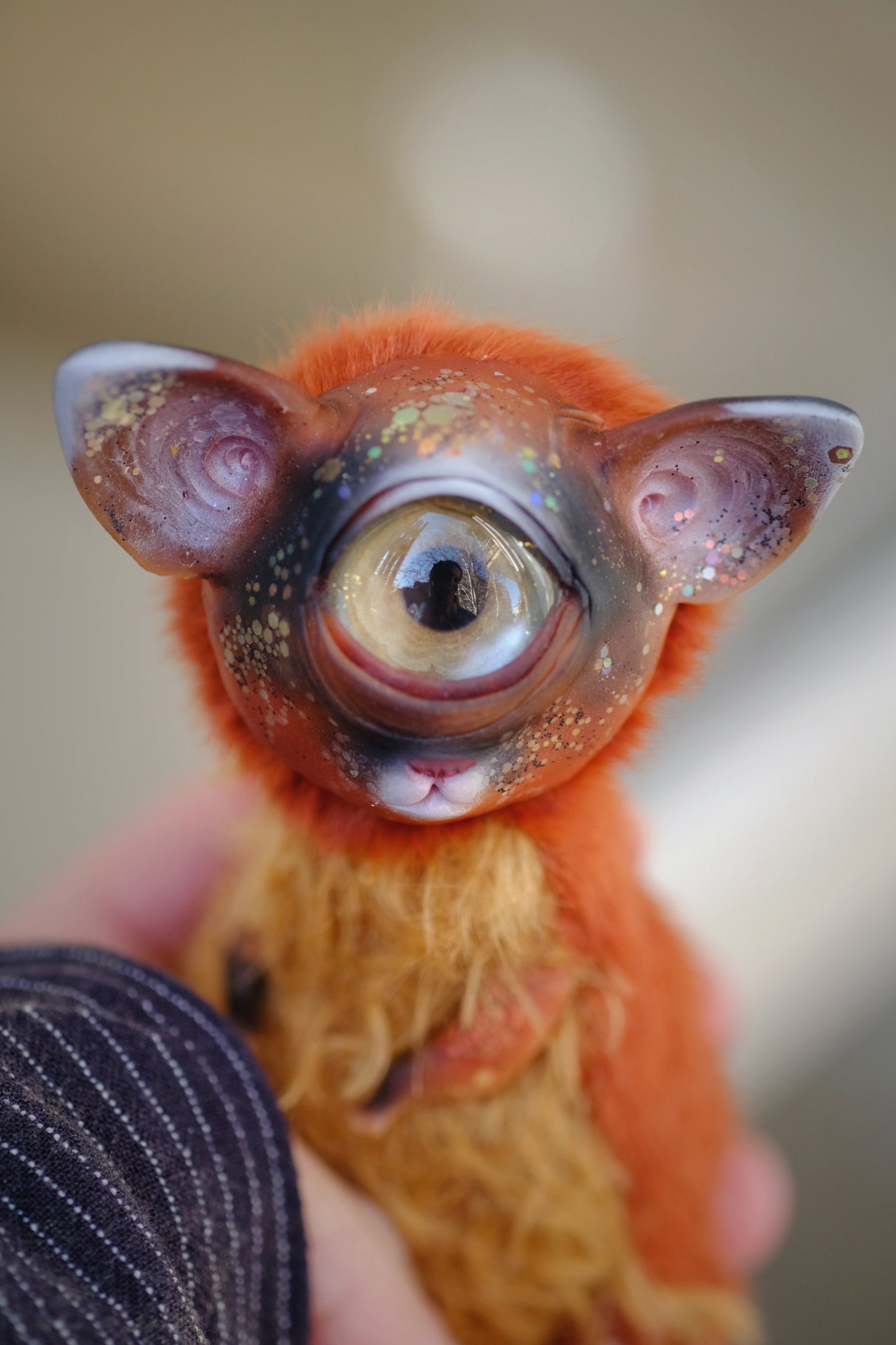 Cyclops Cat