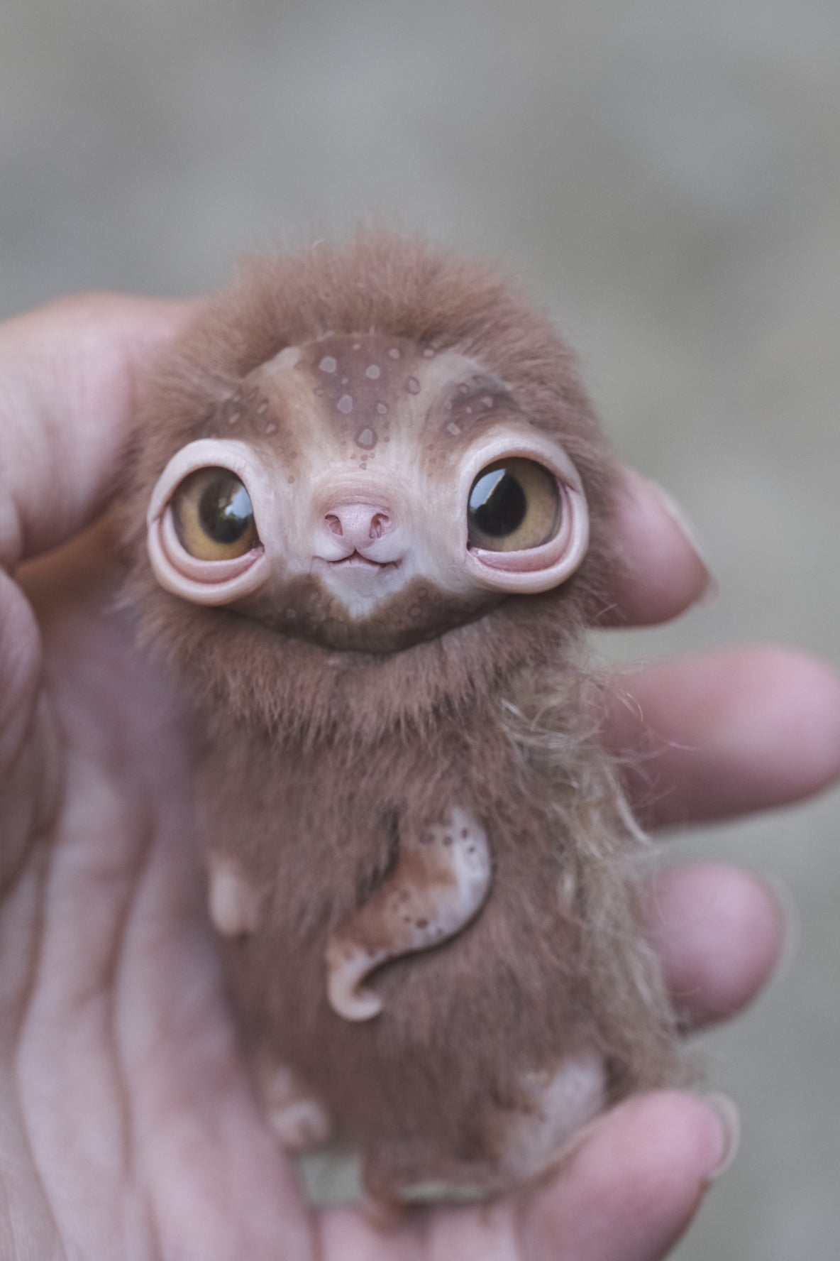Little Sloth