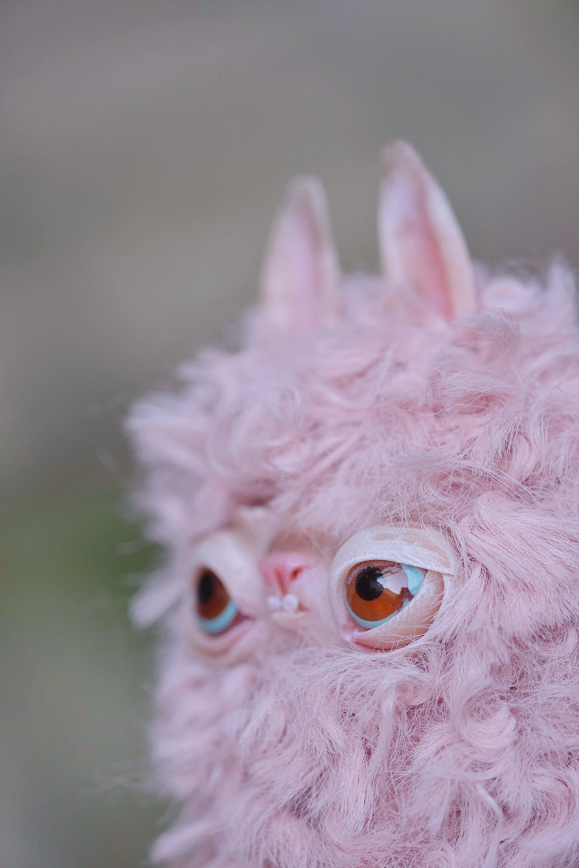 Grumpy Llama