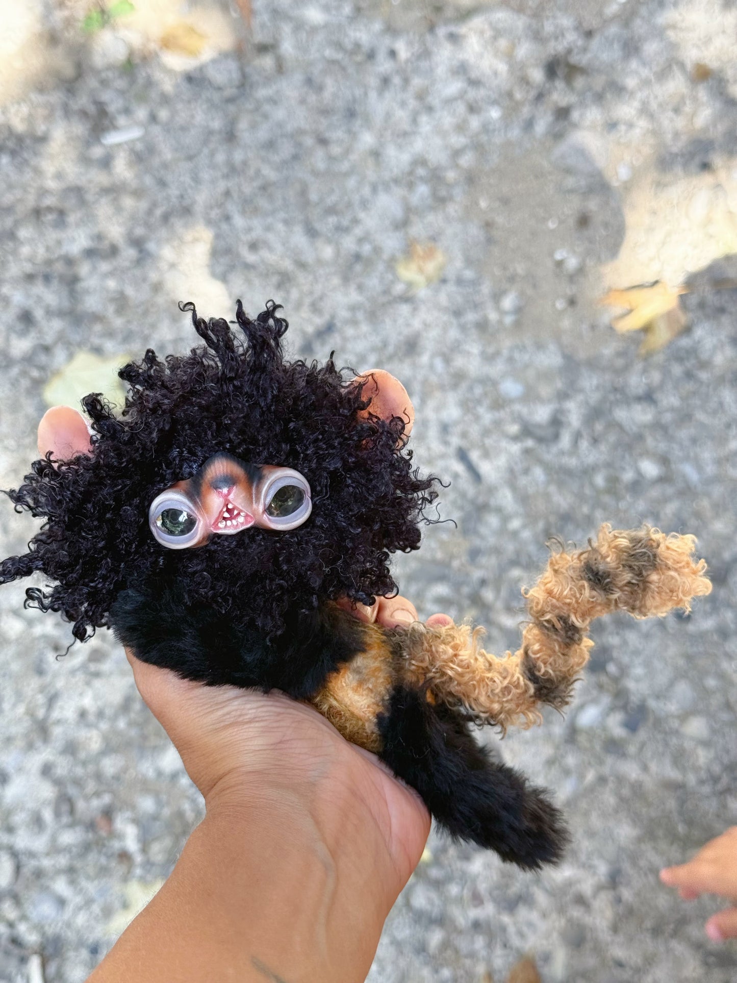 Black Lemur Monkey