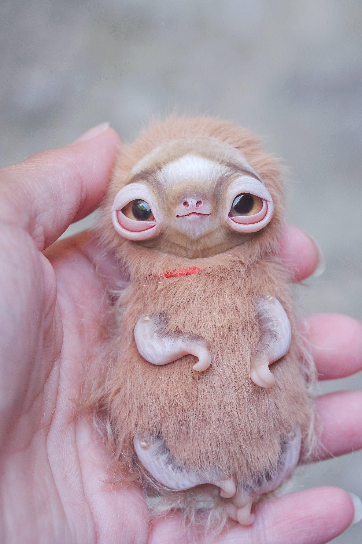 Little Sloth