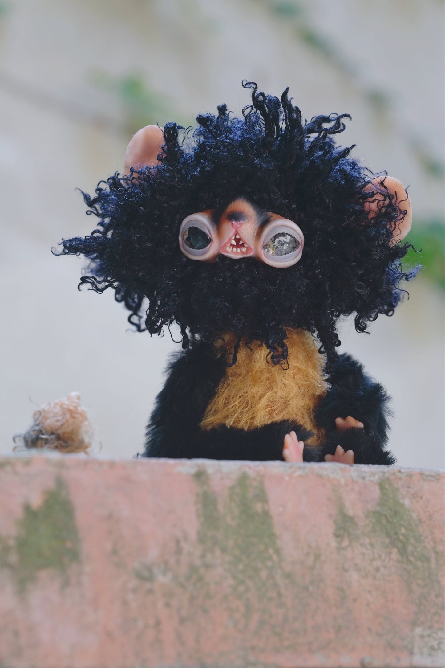 Black Lemur Monkey