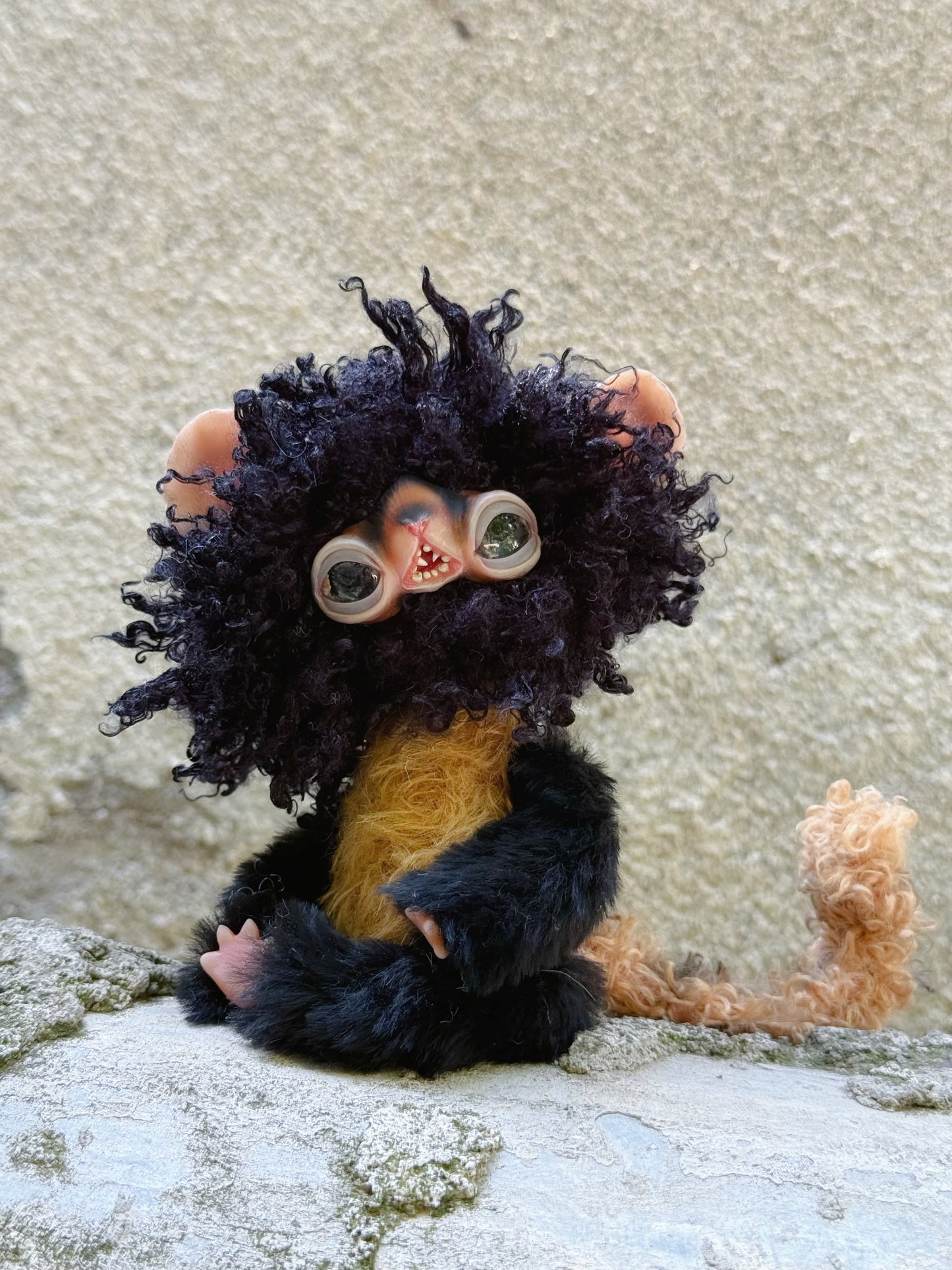 Black Lemur Monkey