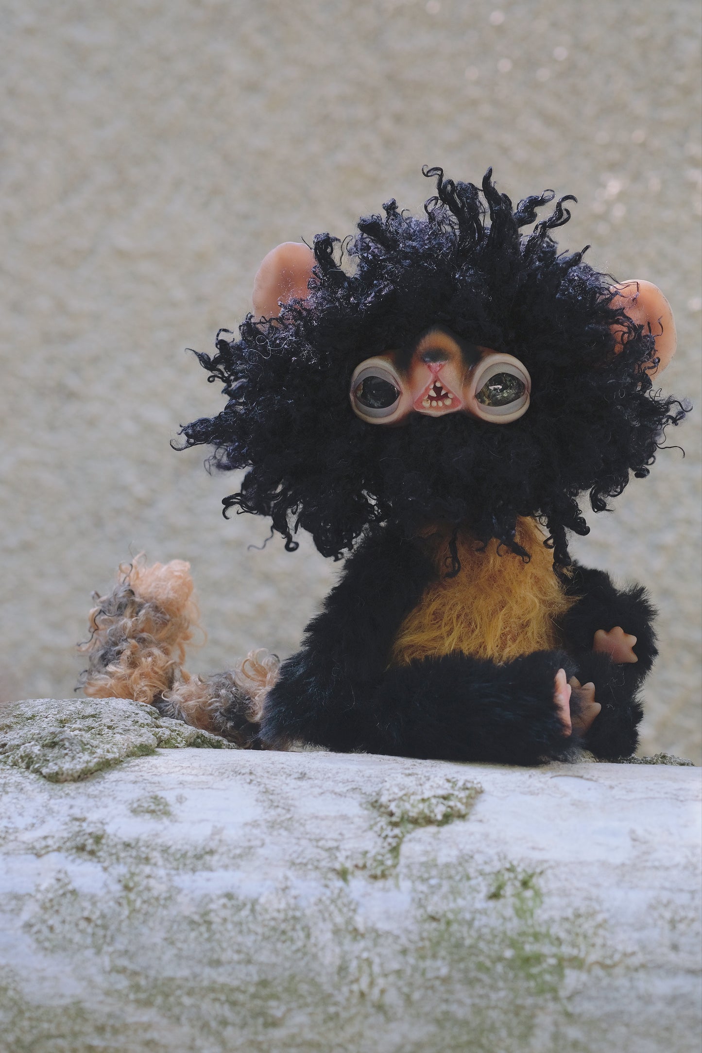 Black Lemur Monkey