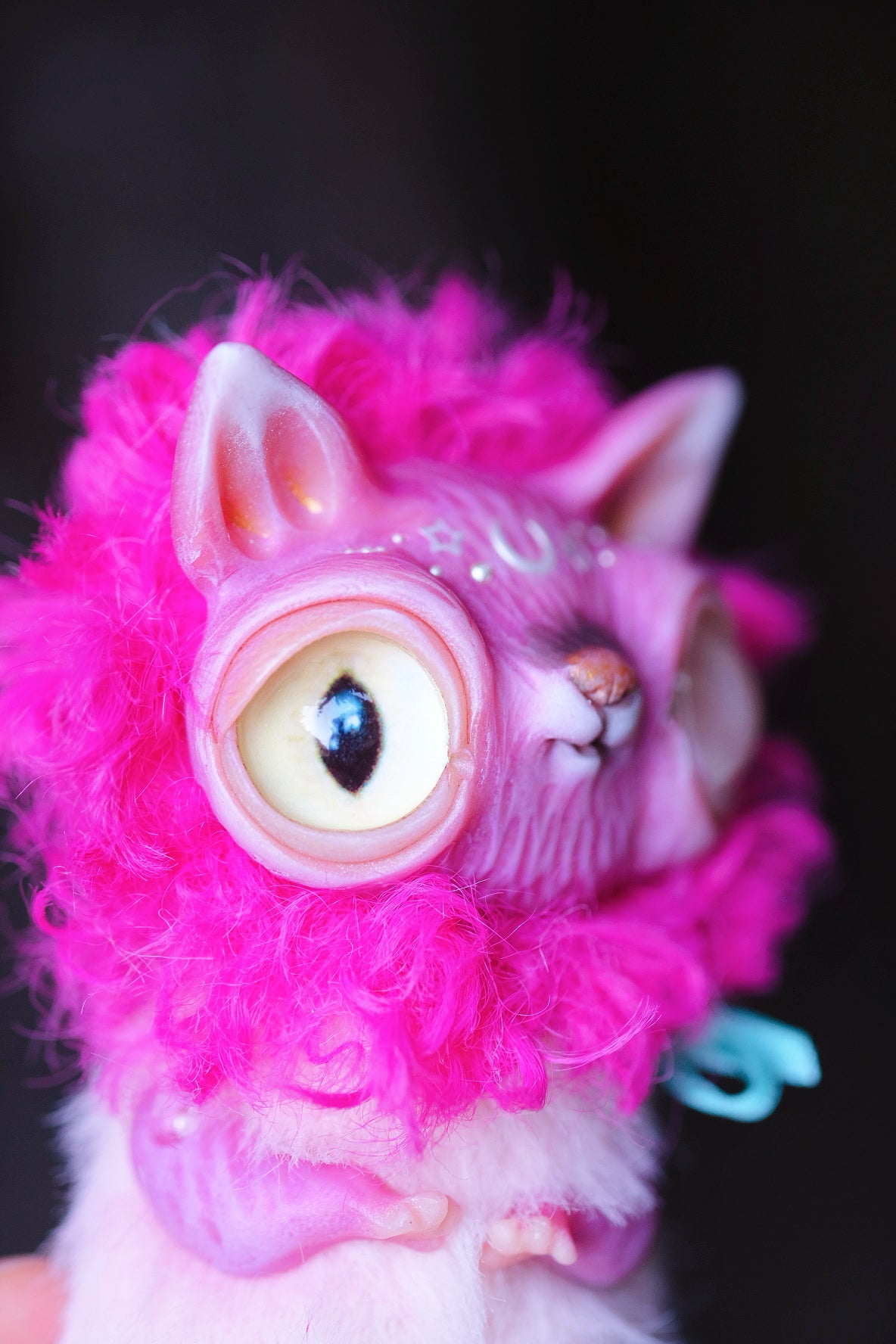 Magenta Crescent Cat