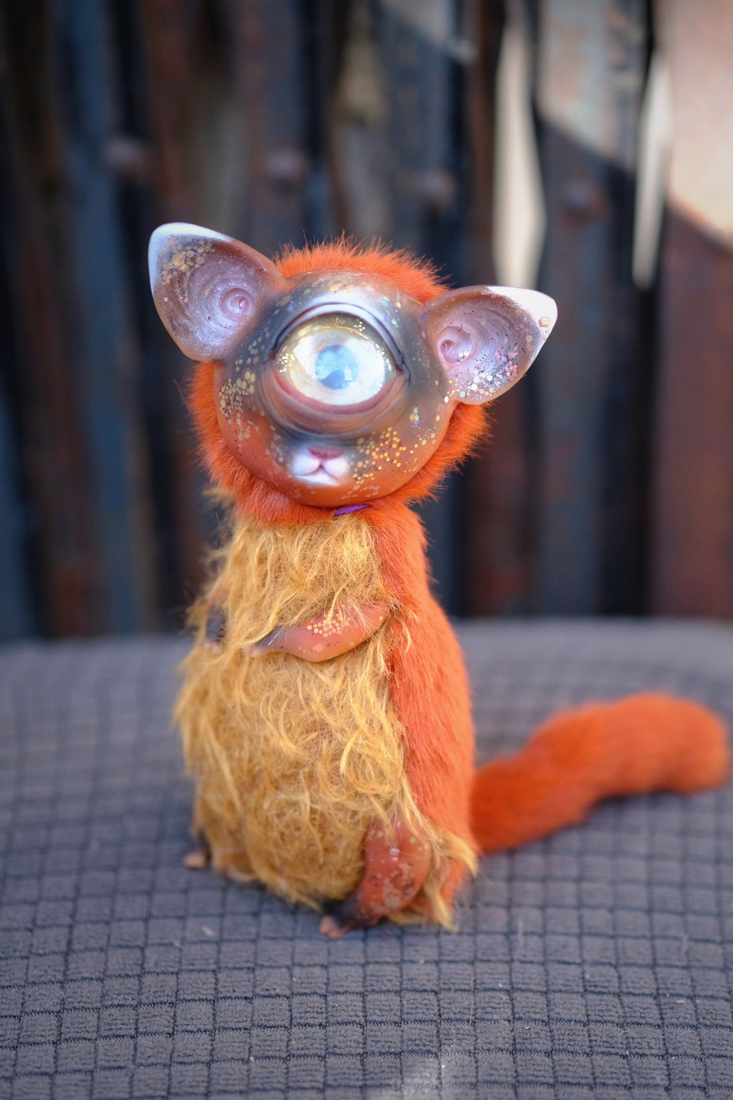 Cyclops Cat