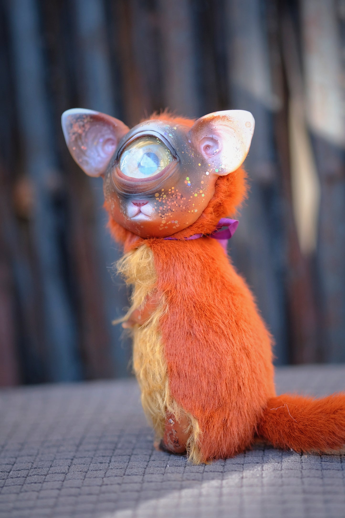 Cyclops Cat