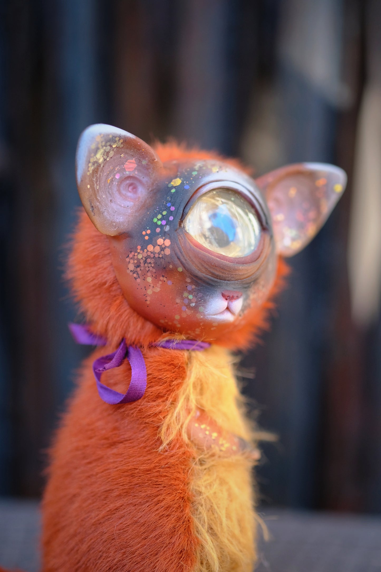 Cyclops Cat