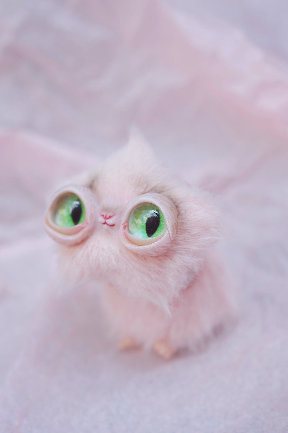 Star Kitty