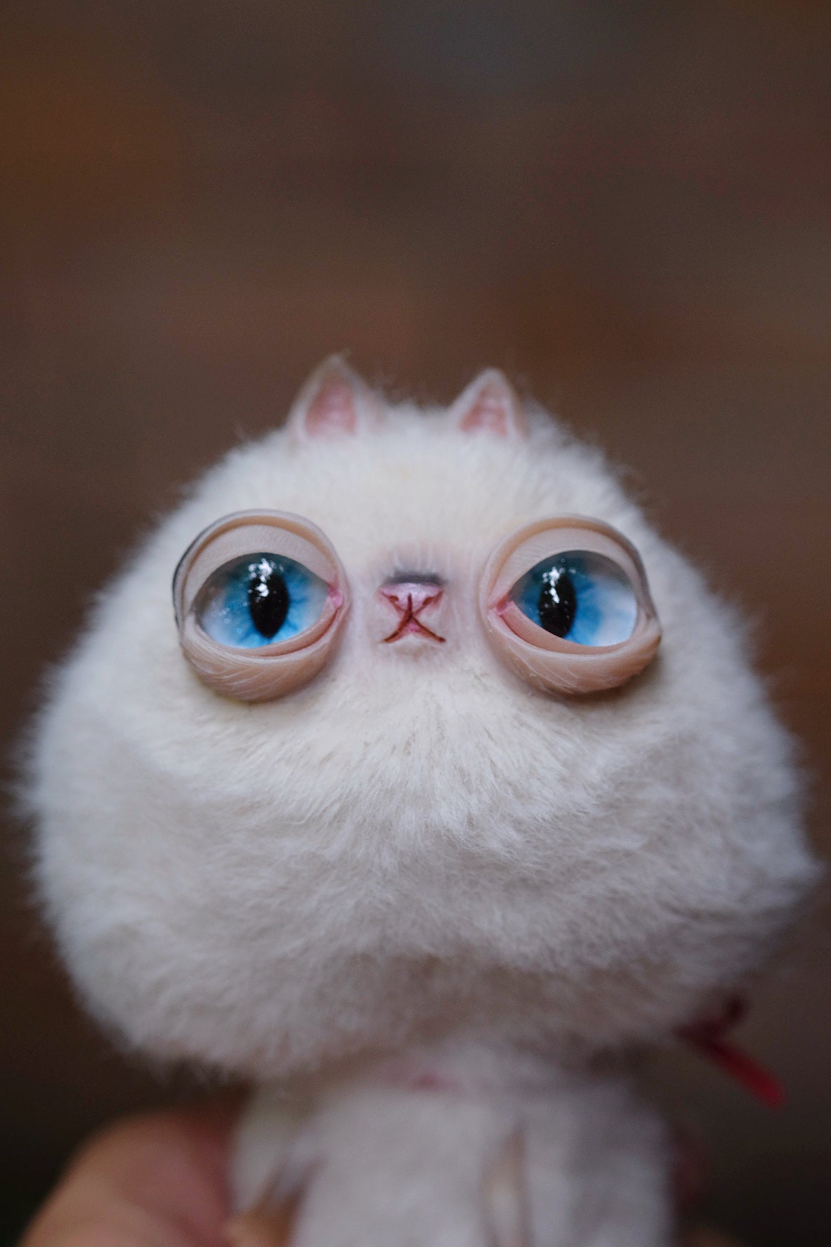 Anti-Pretty Cat
