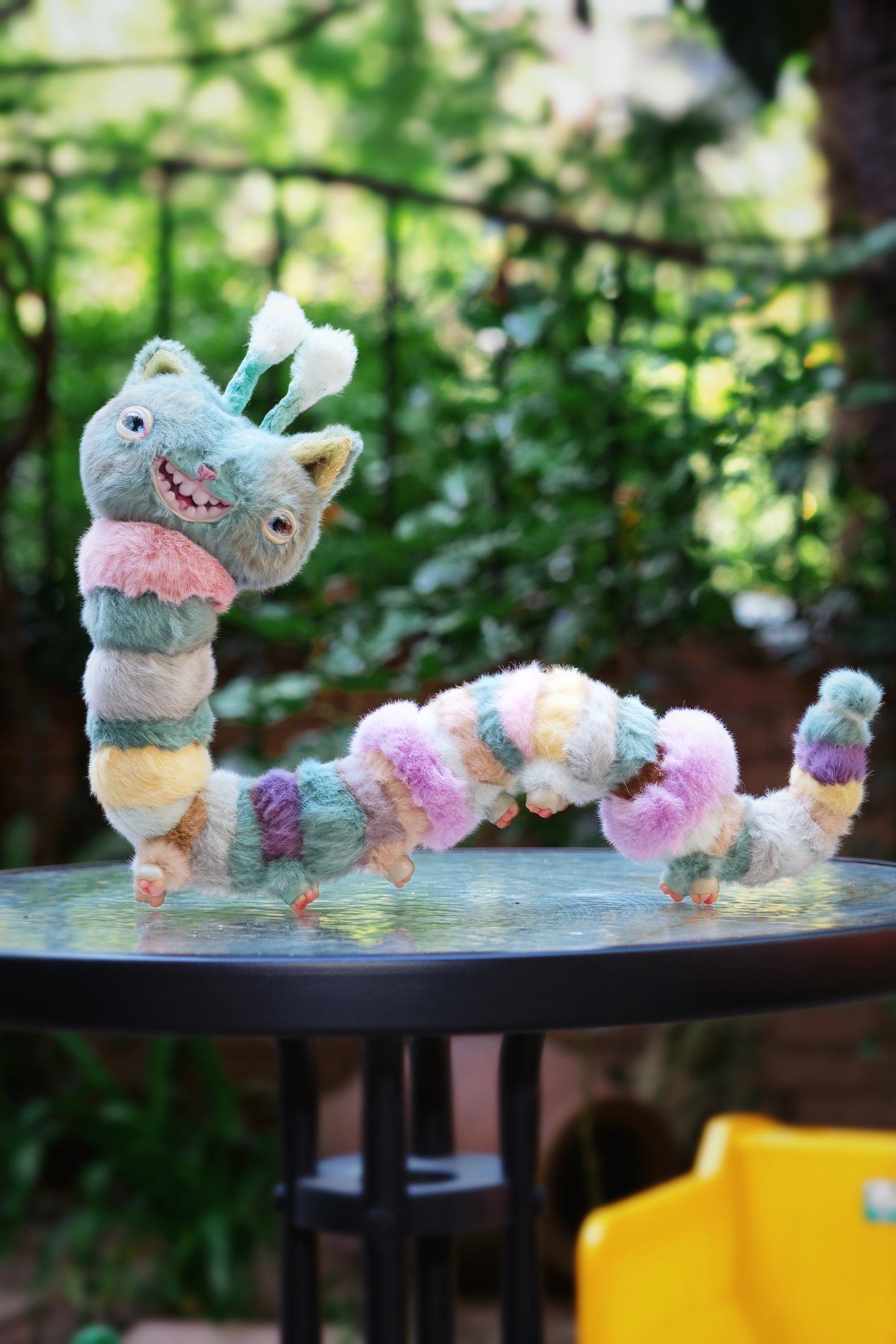 Kitty Caterpillar