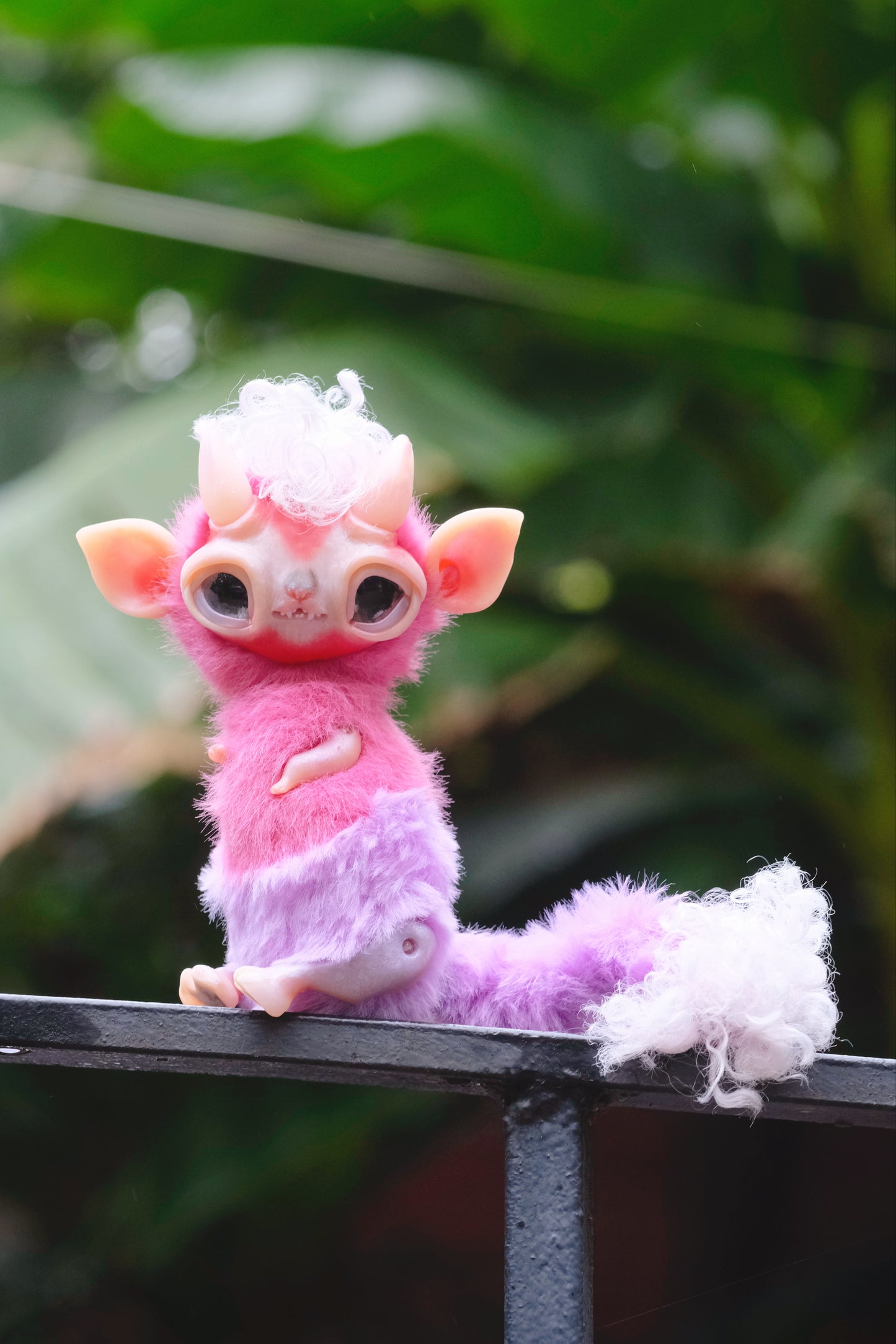 Little Imp