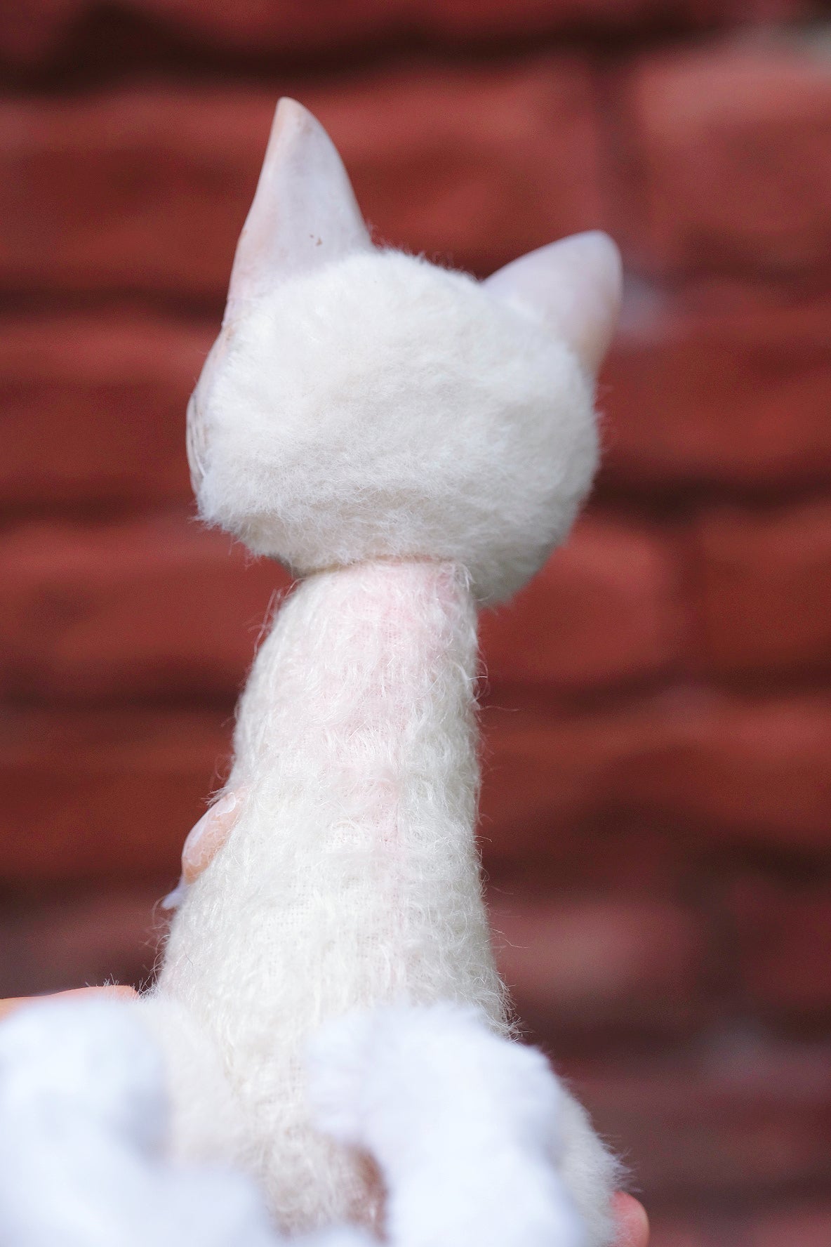 Cute Ghost Kitty