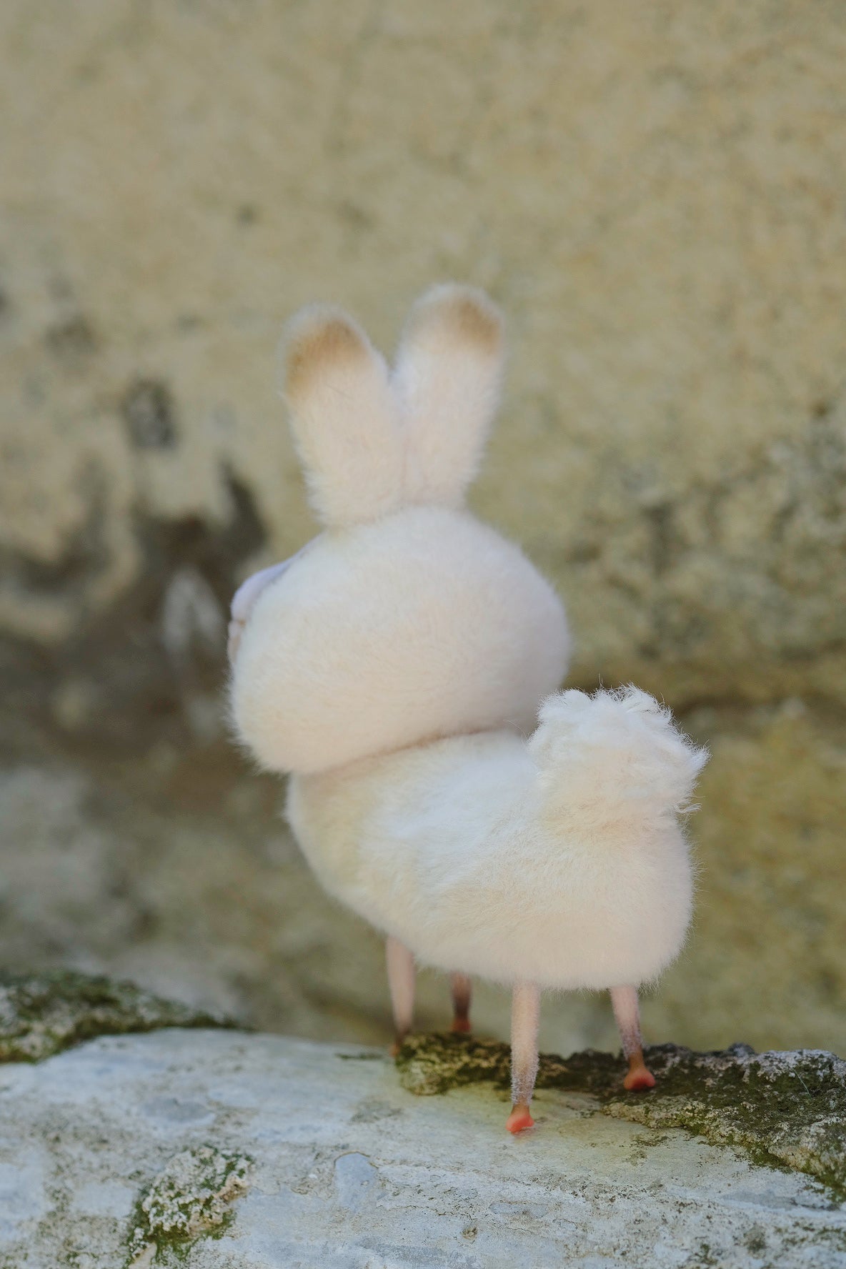 Grumpy Kitty Bunny