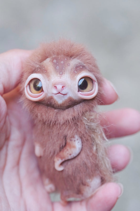 Little Sloth
