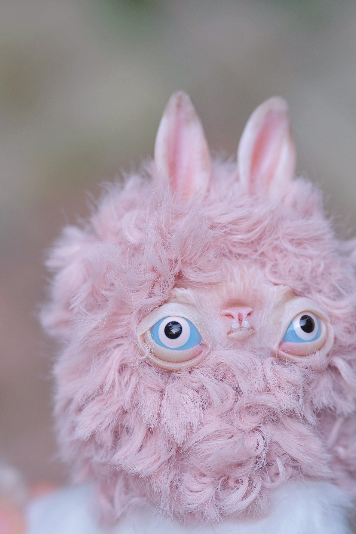 Grumpy Llama