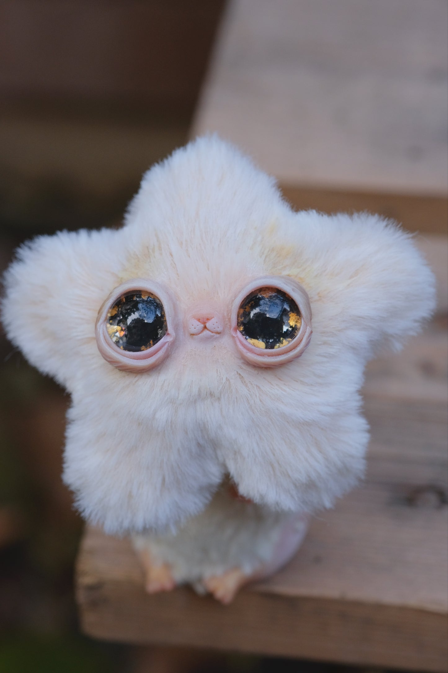 Last one! Made on request: Star Kitty