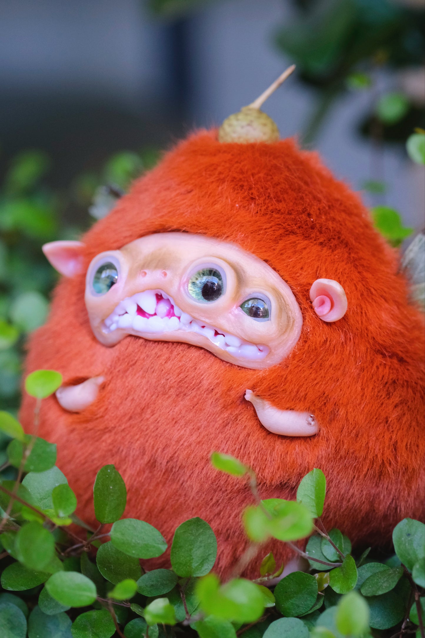 Acorn Troll