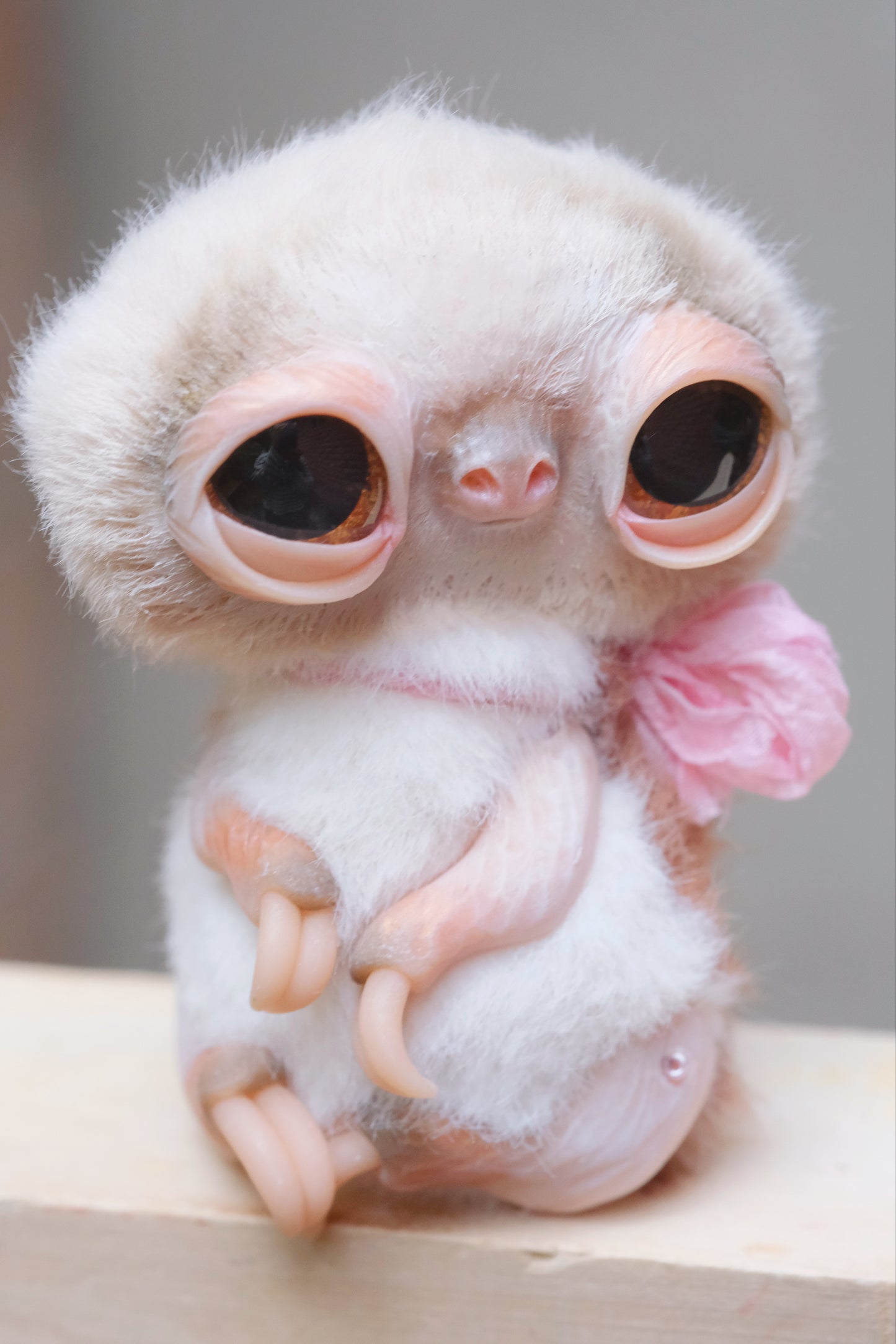 Cute Sloth