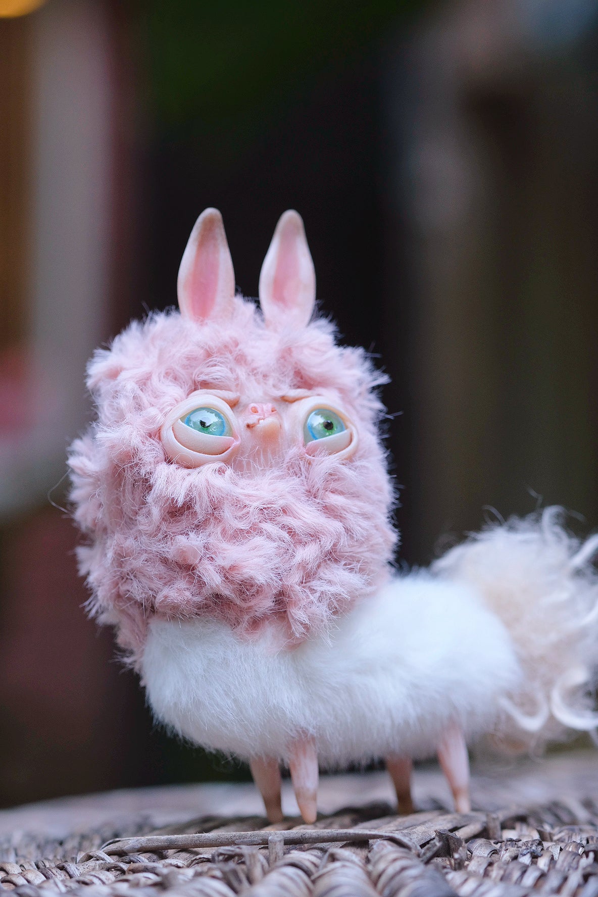 Grumpy Llama