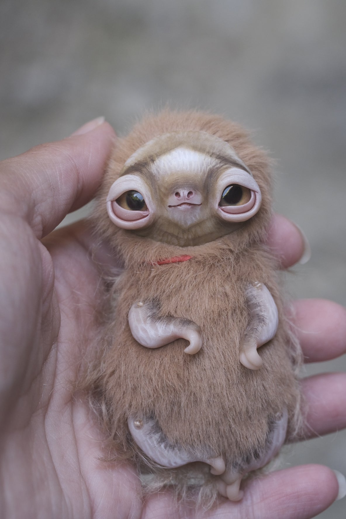 Little Sloth