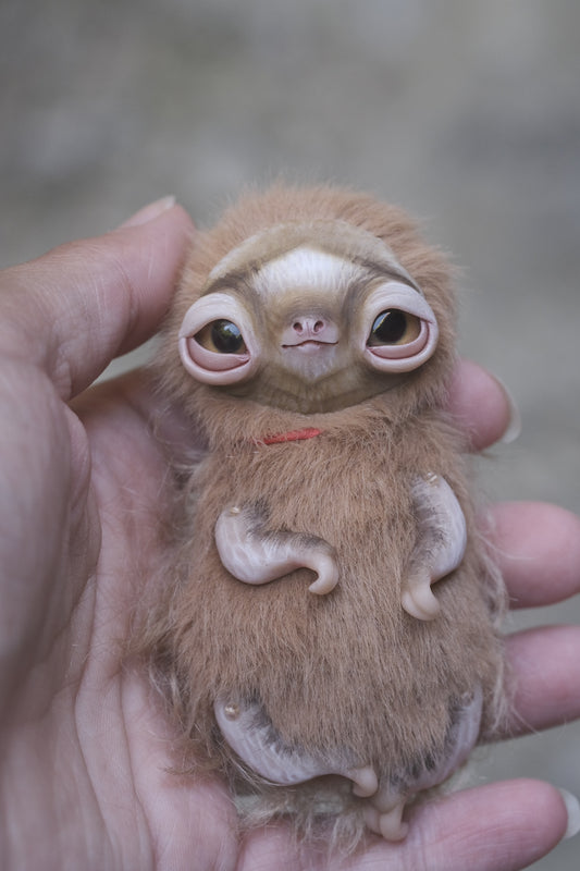 Little Sloth