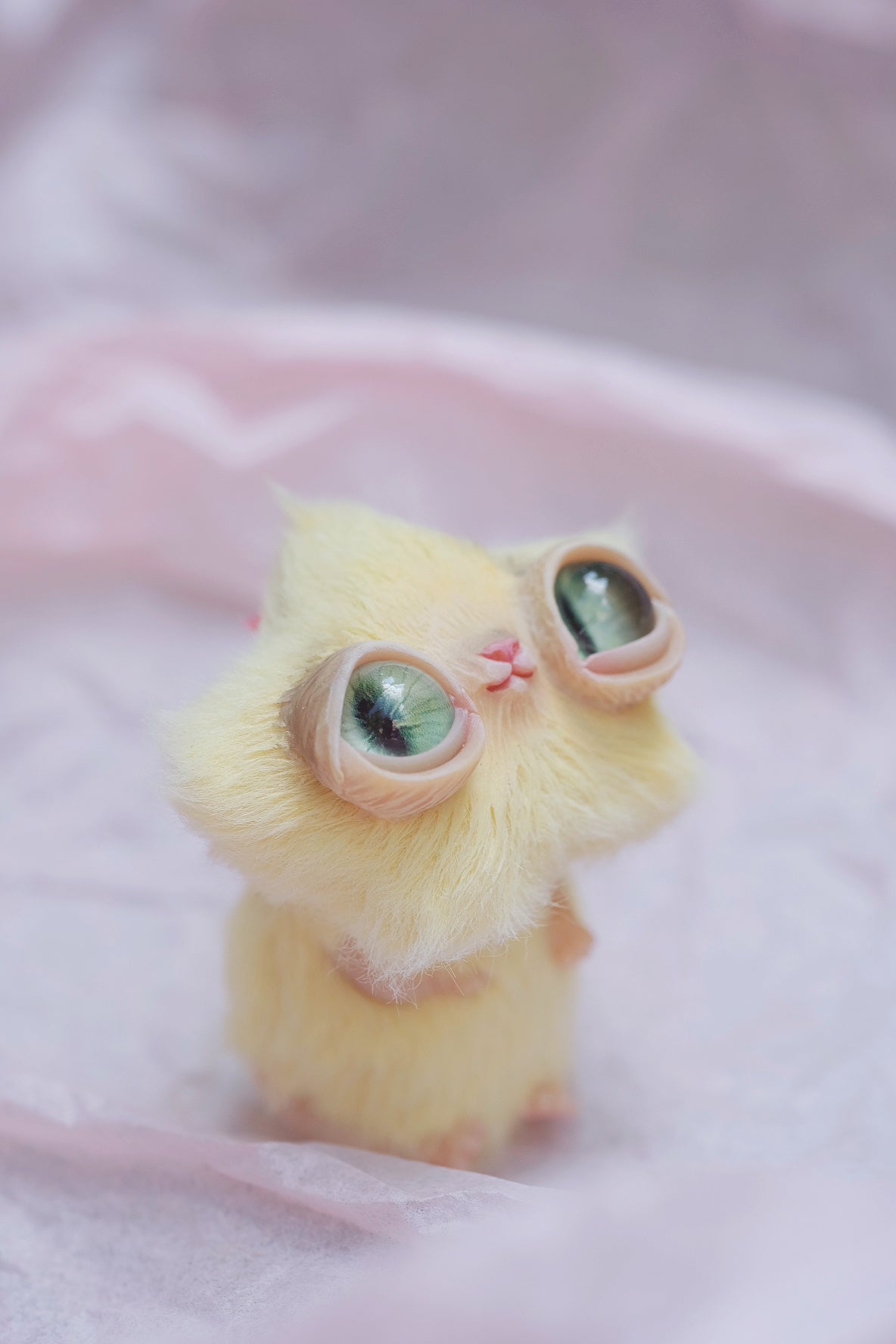 Star Kitty