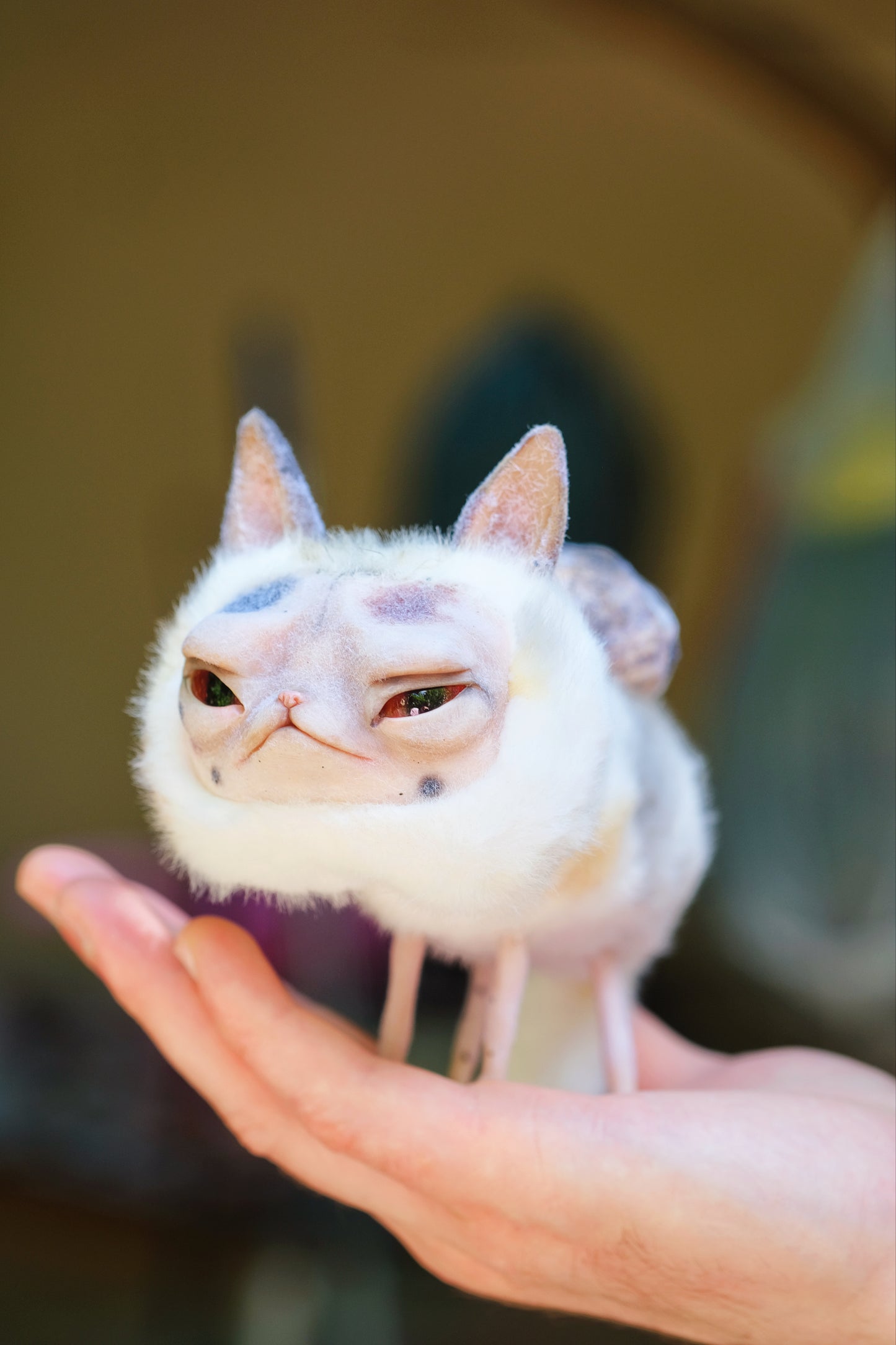 Grumpy Kitty Snail