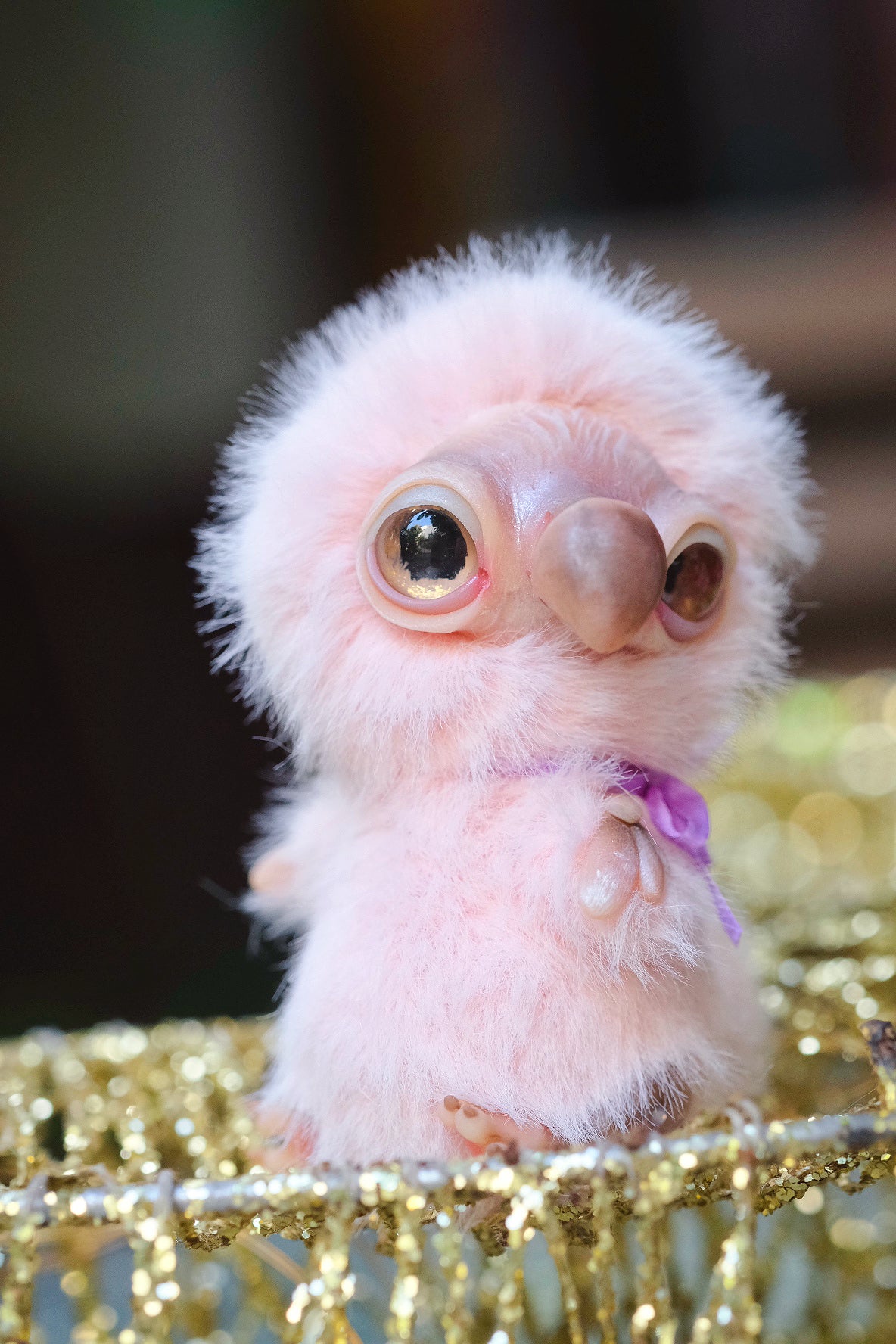 Pink Dodo Bird