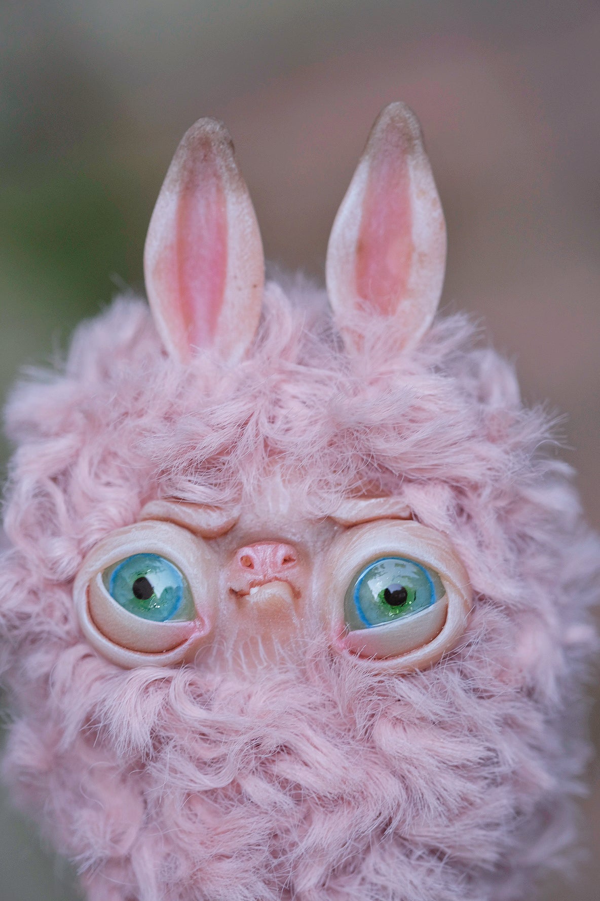 Grumpy Llama