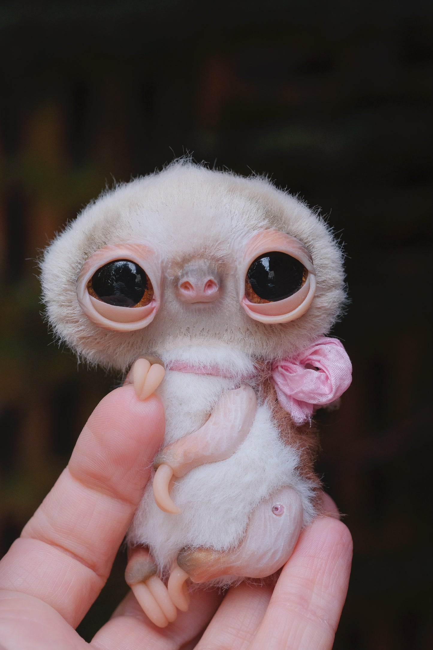 Cute Sloth