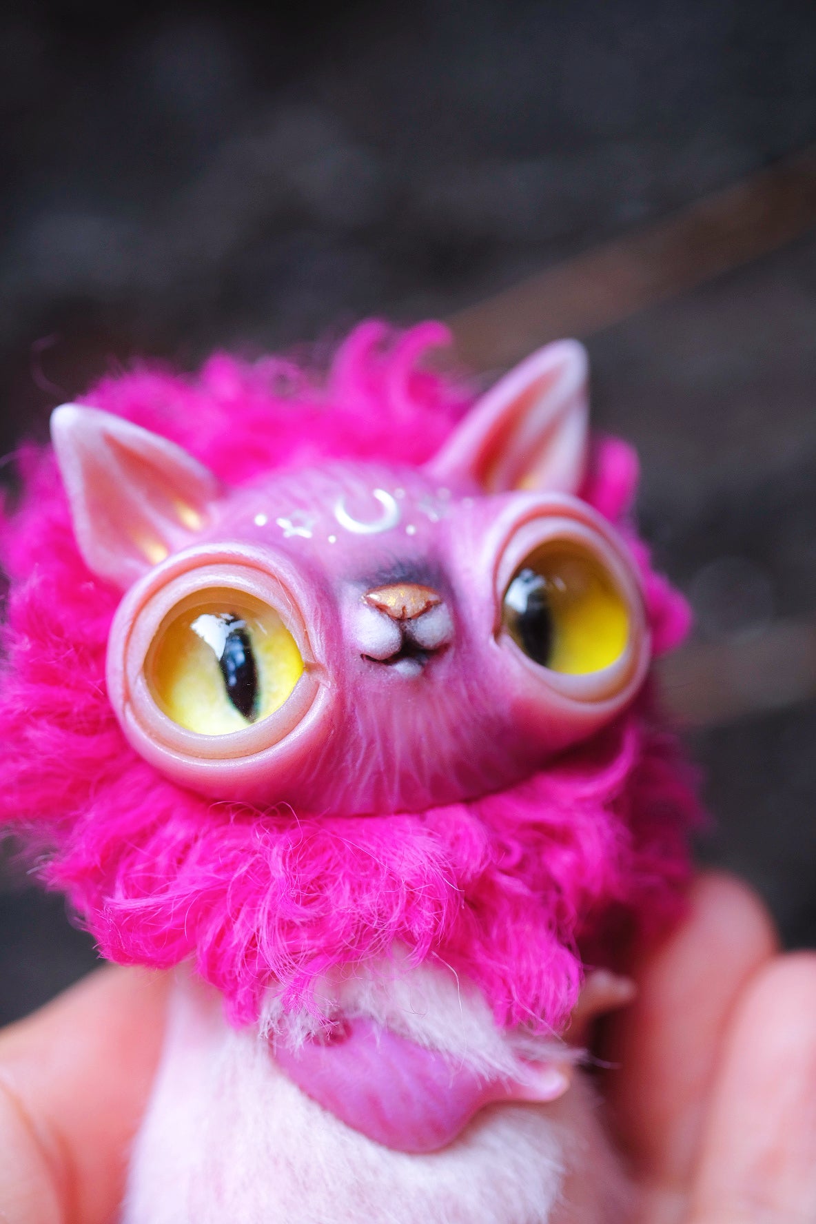 Magenta Crescent Cat