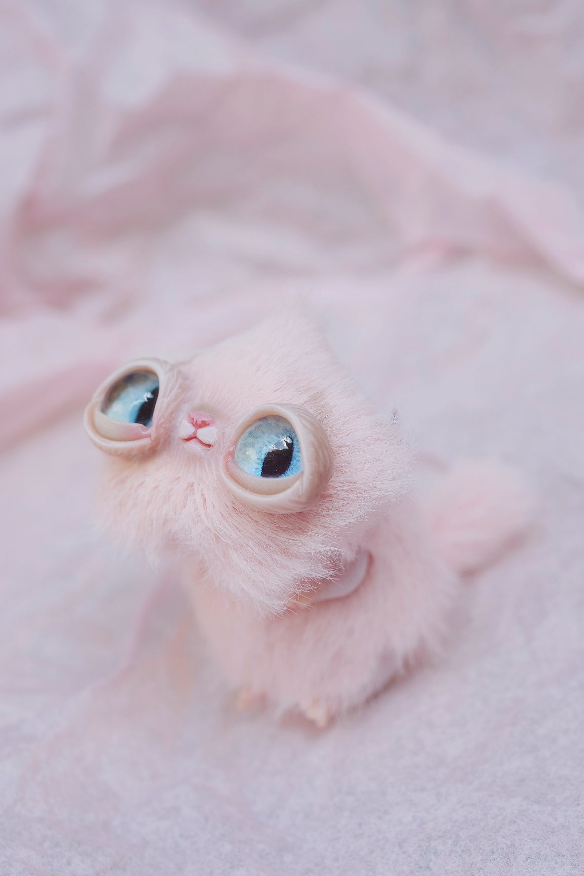Star Kitty