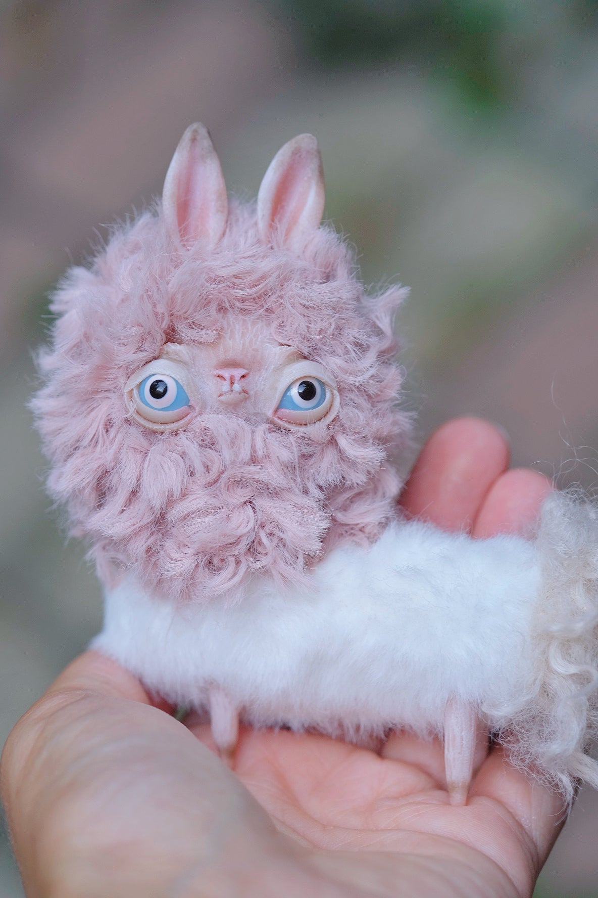 Grumpy Llama