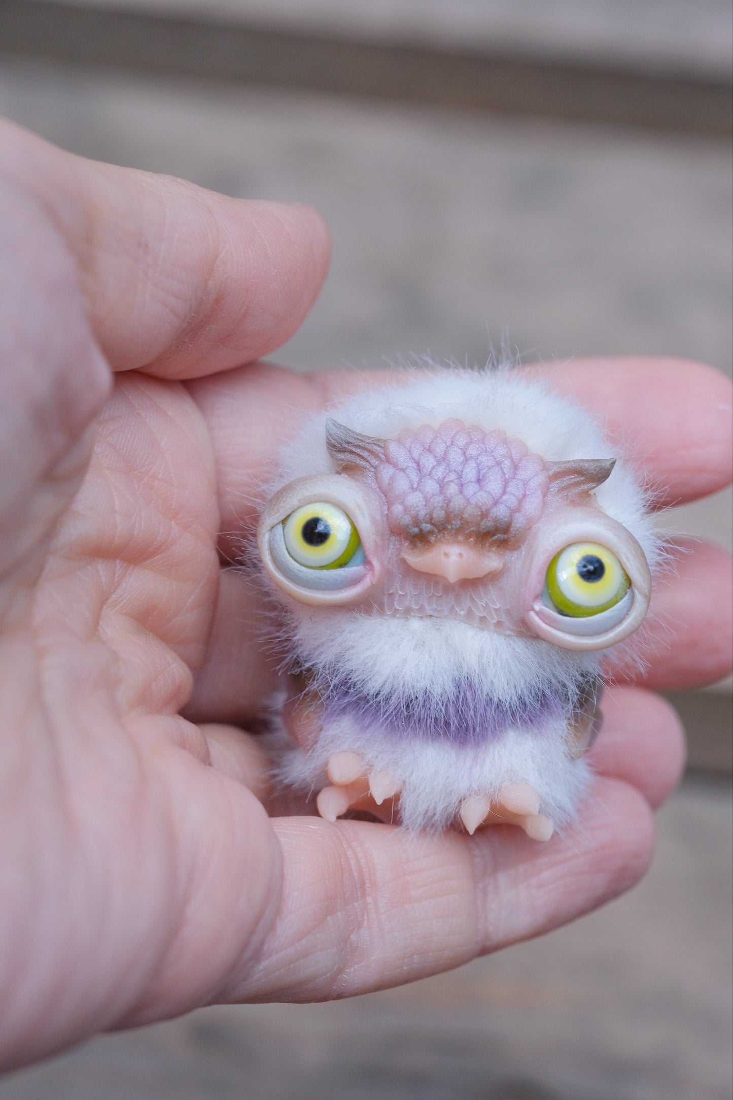 Cute Owlet