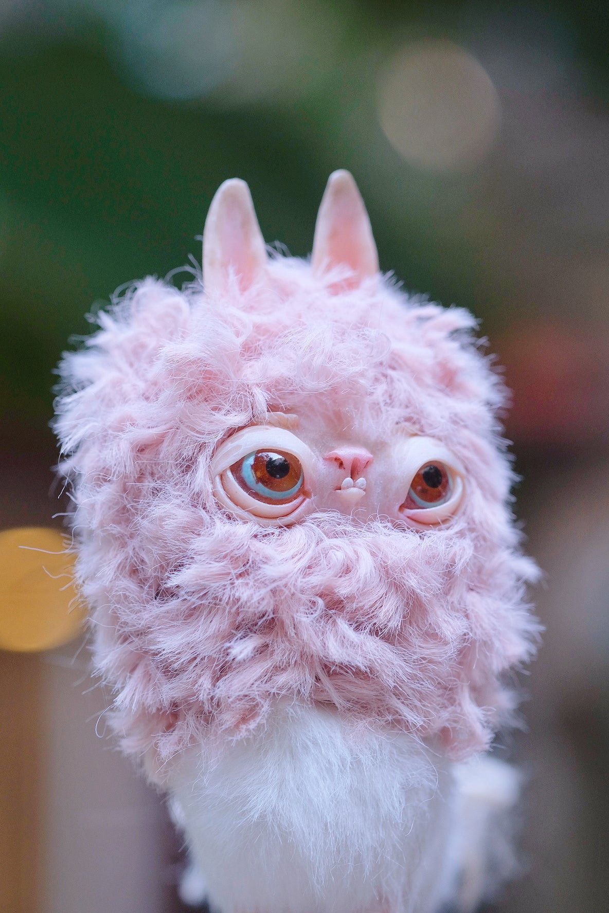 Grumpy Llama