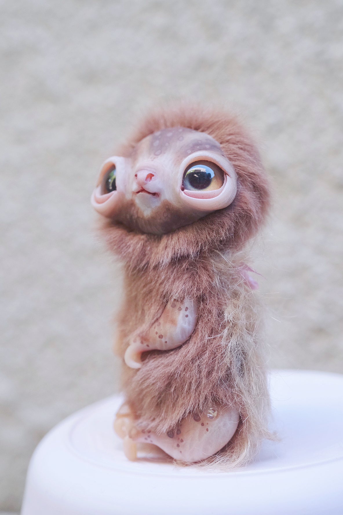 Little Sloth