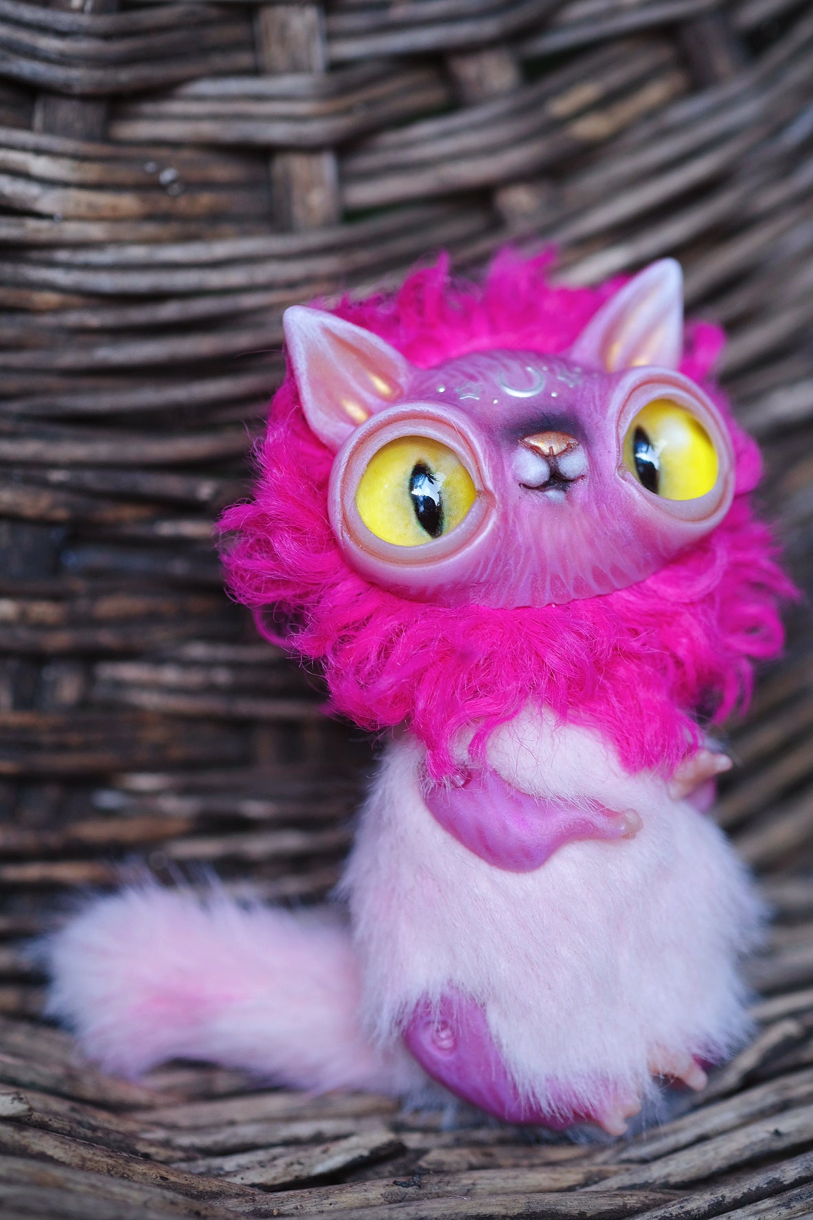Magenta Crescent Cat