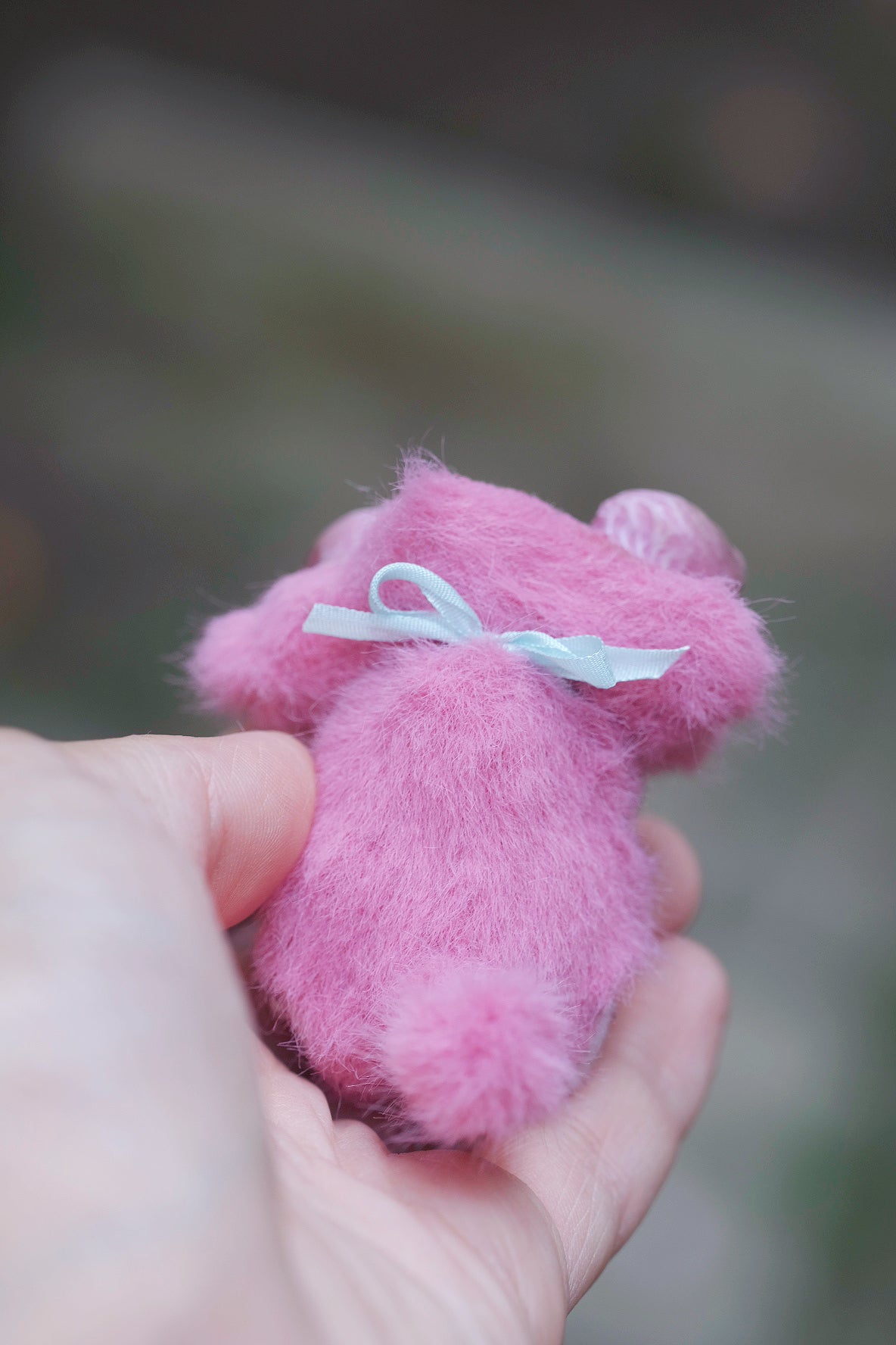 Star Kitty