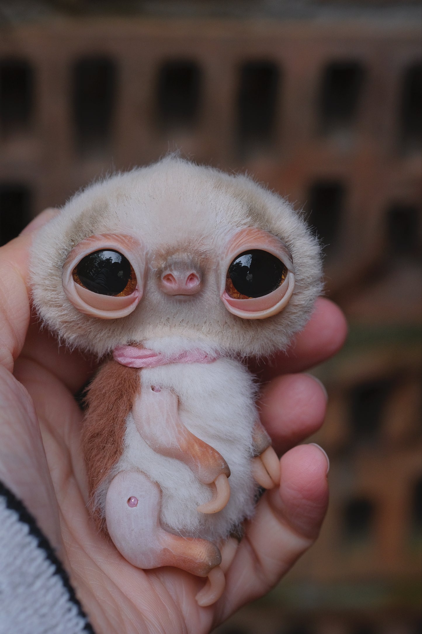 Cute Sloth