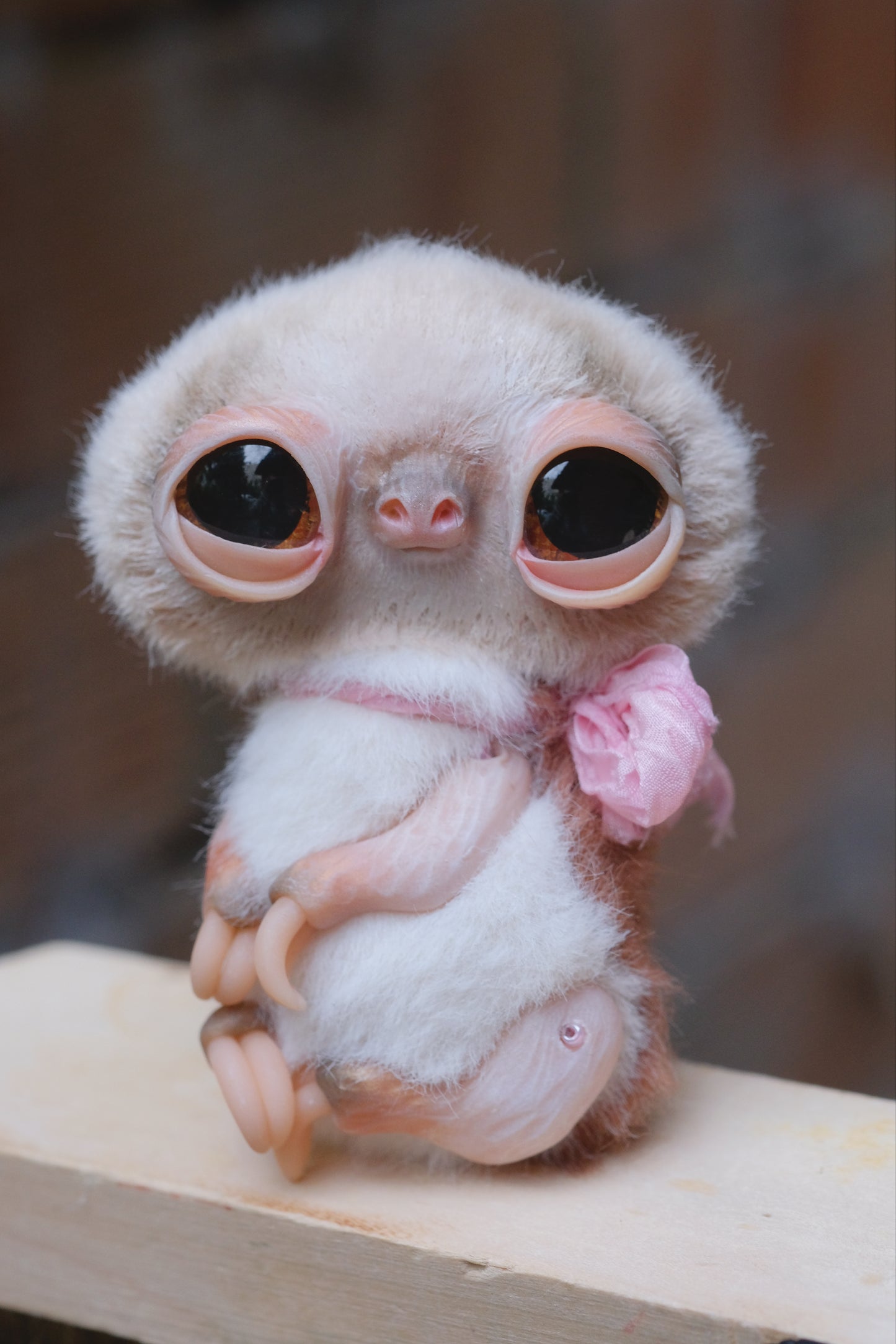 Cute Sloth