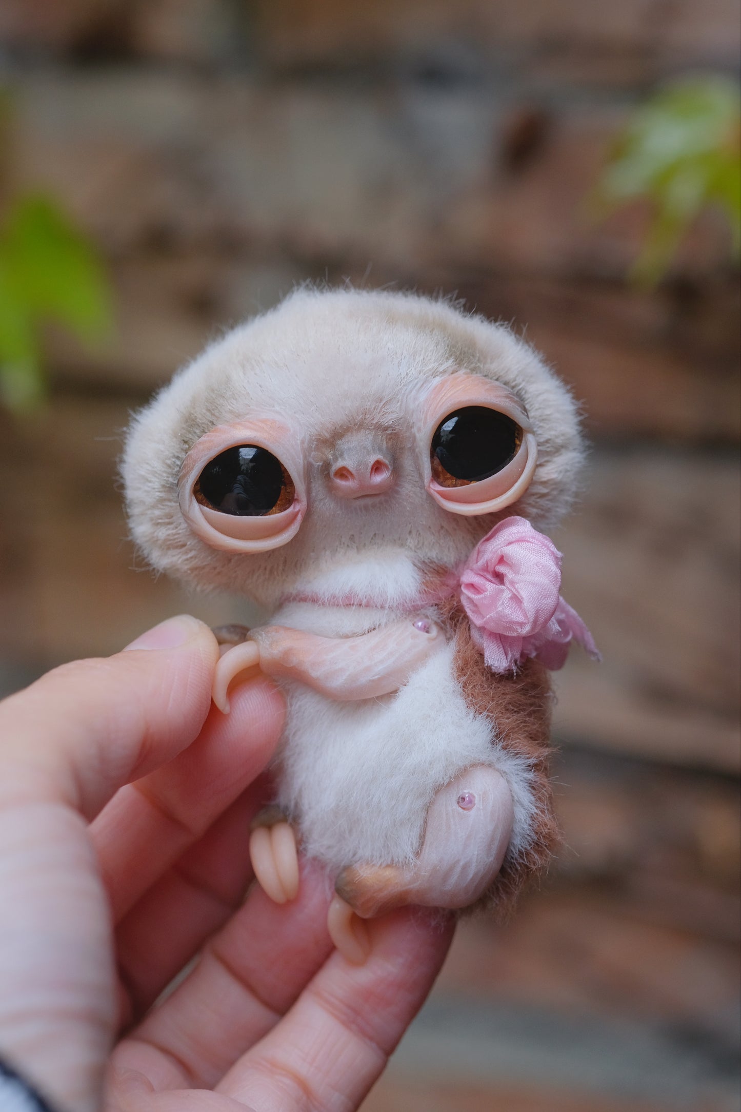 Cute Sloth