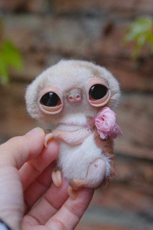 Cute Sloth
